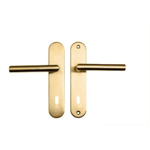 Paire de Poignée de porte sur plaque MINI TINA " axe 165 mm " Inox PVD OR "