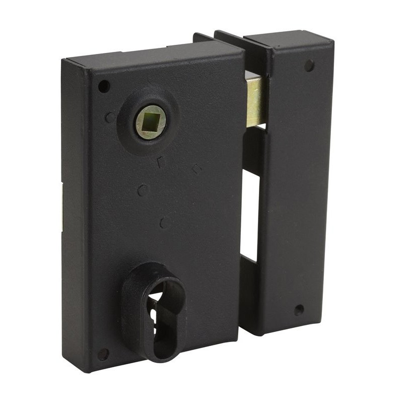 Serratura Mono-punto, Verticale, Quadro Maniglia, a cilindro europeo (Cilindro non incluso)
